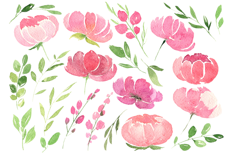 pink-watercolour-peonies-png-clipart