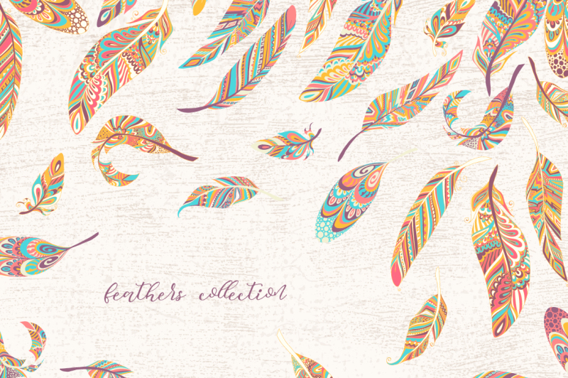 the-feathers-magic