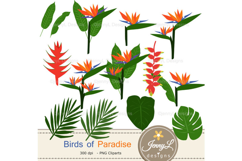 bird-of-paradise-floral-digital-papers-and-clipart-set
