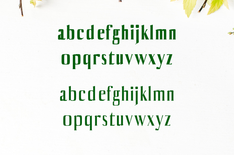 axell-serif-font-family