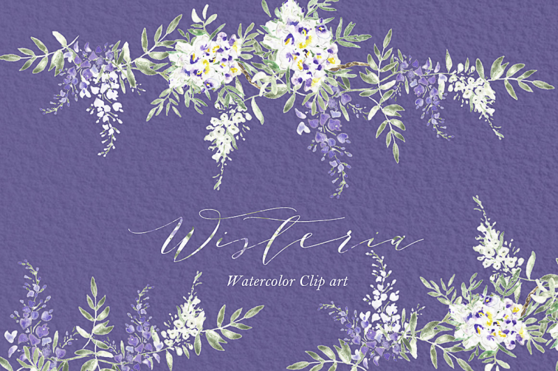 wisteria-wedding-watercolor-clipart