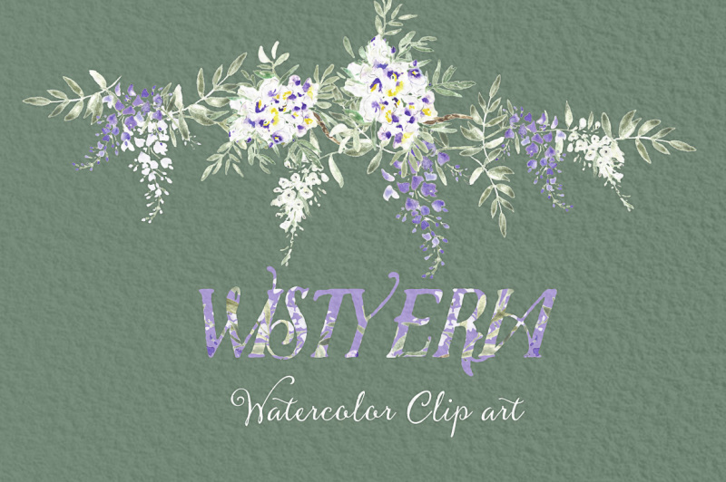 wisteria-wedding-watercolor-clipart