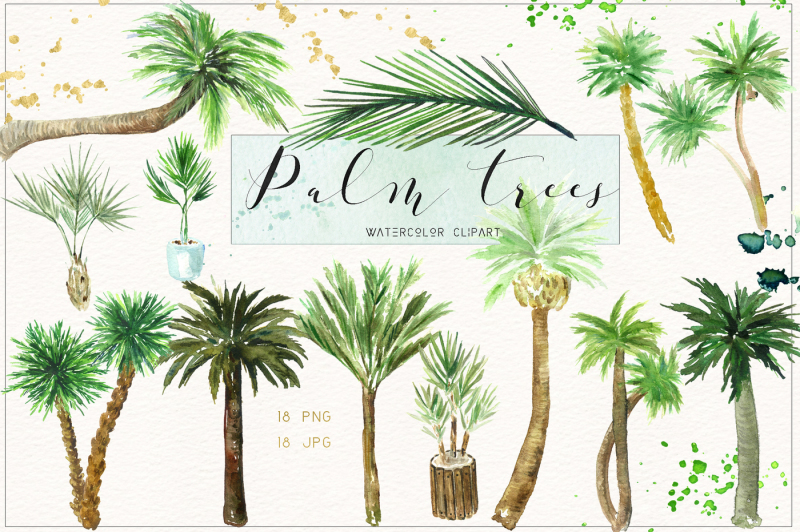 Palm tree. Watercolor clipart. By LABFcreations | TheHungryJPEG.com