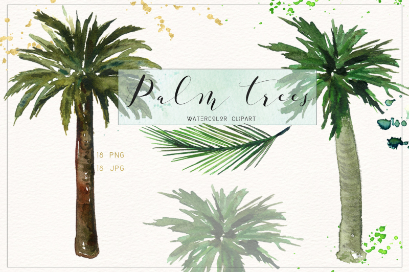 palm-tree-watercolor-clipart