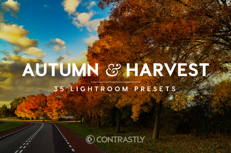 autumn-and-harvest-lightroom-presets-vol-1