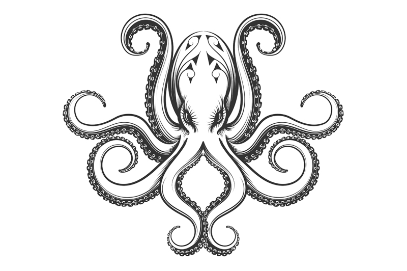 octopus-engraving-illustration