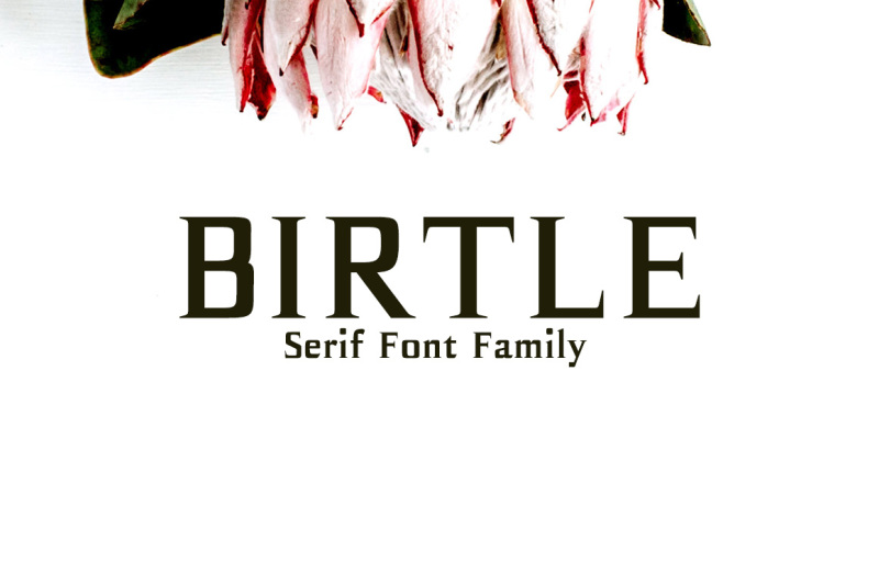 birtle-serif-font-family