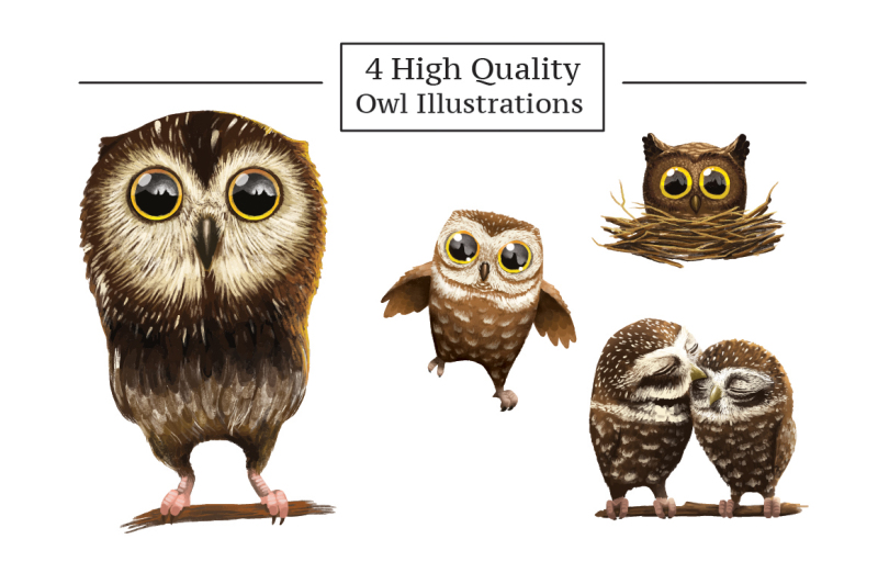 cute-owl-illustration