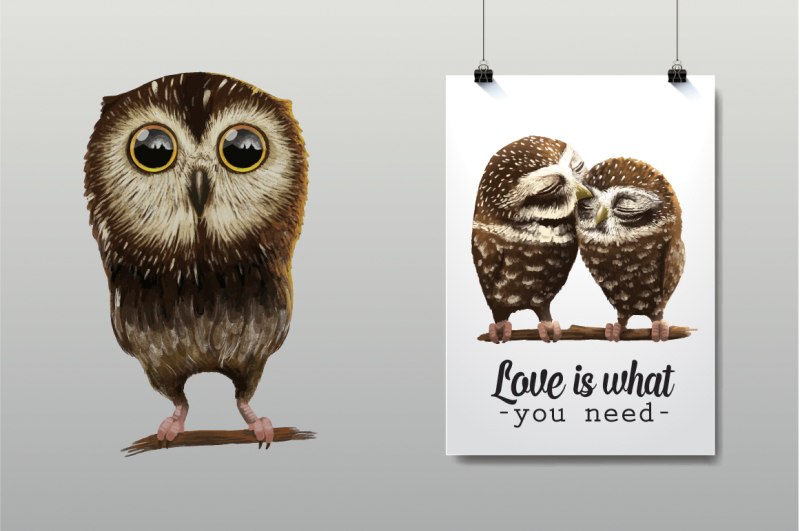 cute-owl-illustration