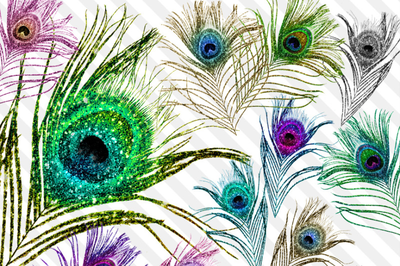 glitter-peacock-feather-clipart