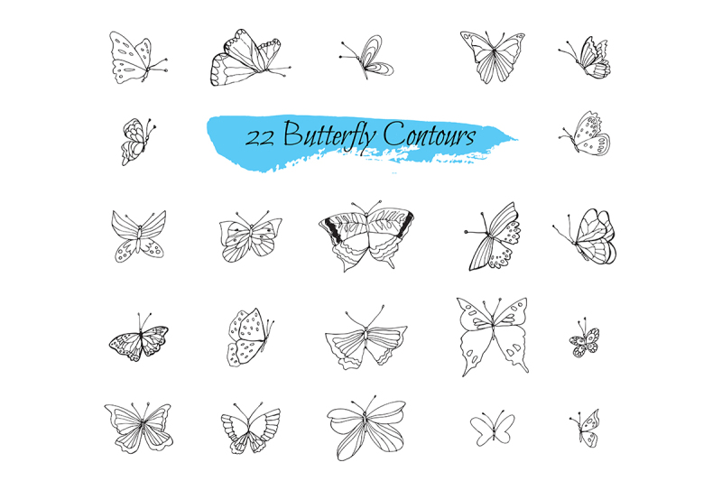 collection-sketches-butterflies