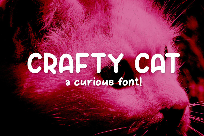 crafty-cat