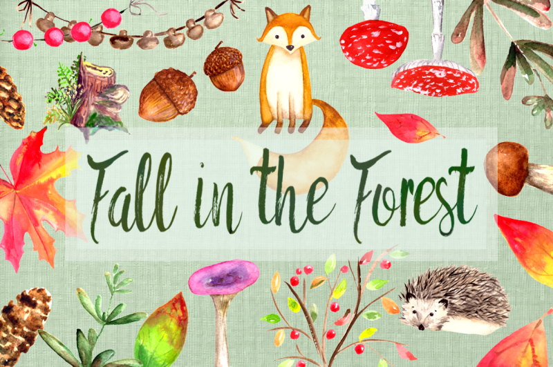 fall-in-the-forest-clip-art-set