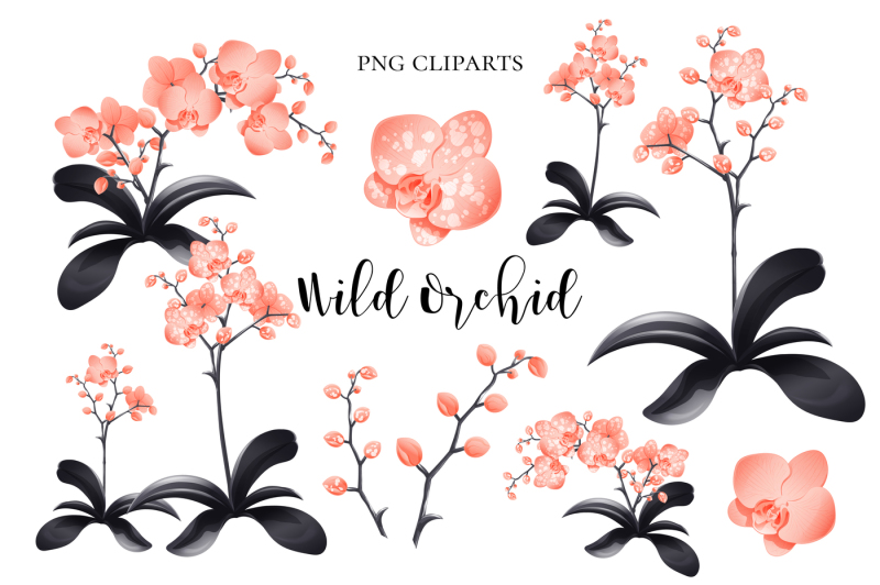 orchid-clipart-design