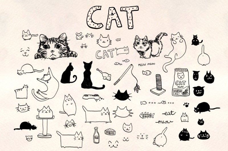 60-cat-vector-graphics-bundle