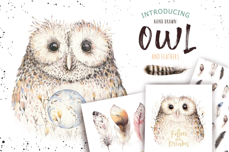 watercolor-owl-and-feathers-collection