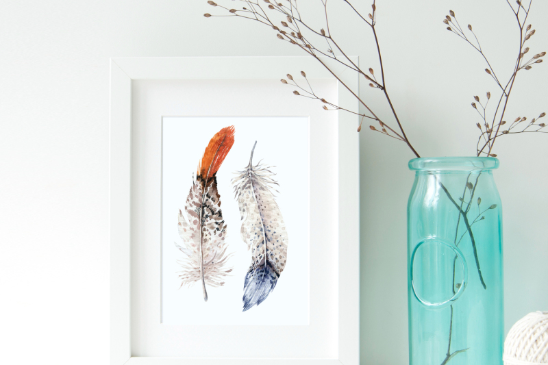 watercolor-owl-and-feathers-collection