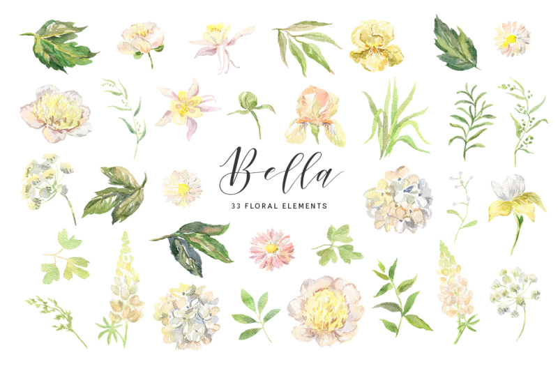 bella-watercolor-floral-collection