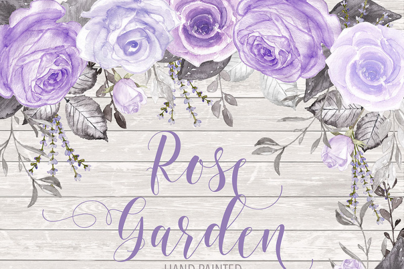 watercolor-rose-garden-purple