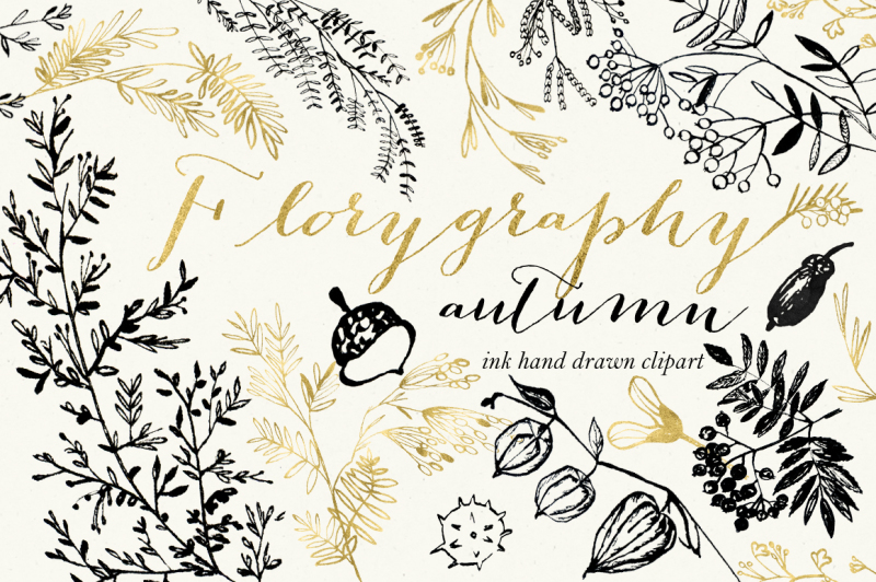 florygraphy-autumn-ink-clipart