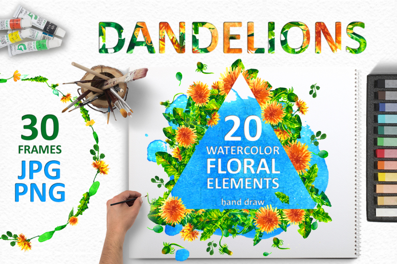 watercolor-dandelion-set