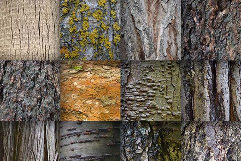 tree-bark-textures-digital-paper