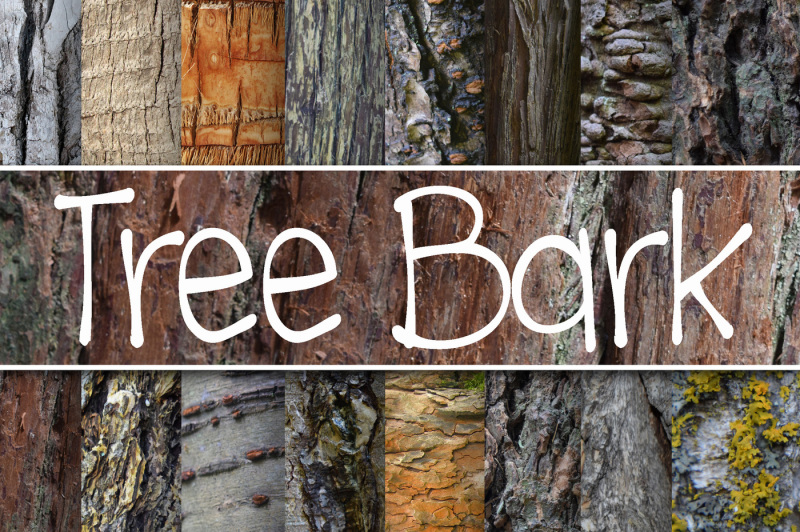 tree-bark-textures-digital-paper