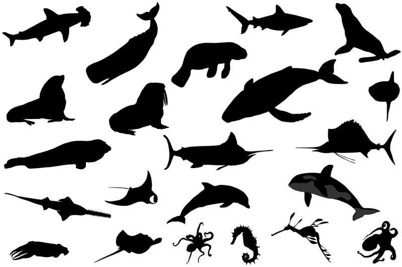 sea-animals