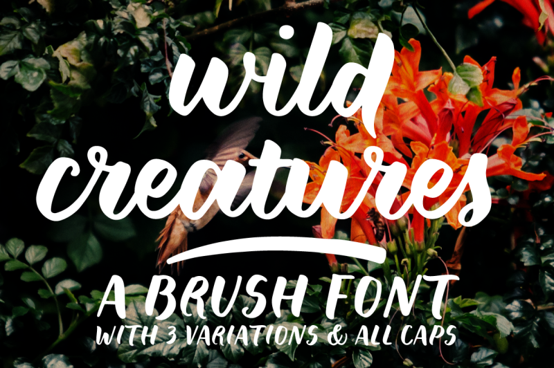 wild-creatures-a-brush-font
