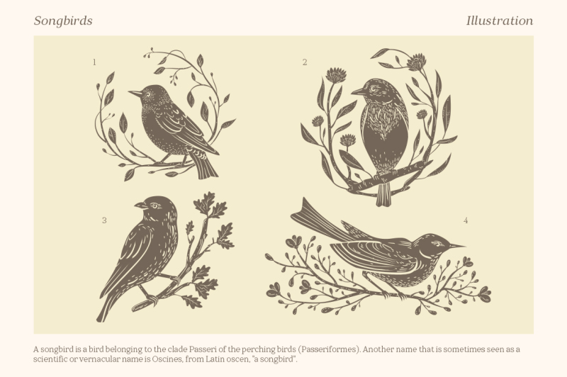 songbirds-graphic-collection
