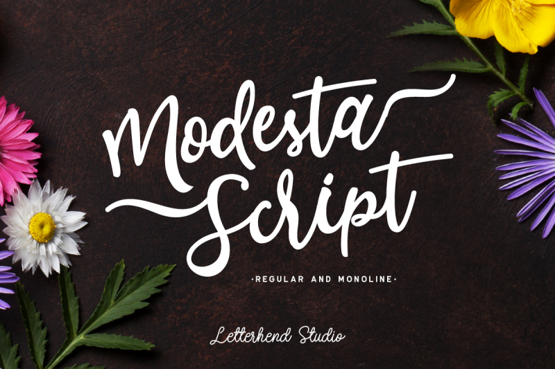 modesta-script