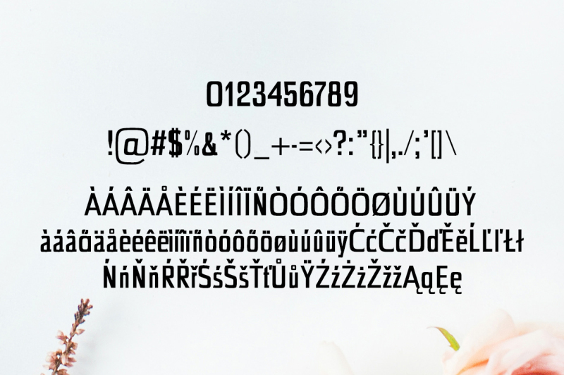 chrys-sans-serif-typeface