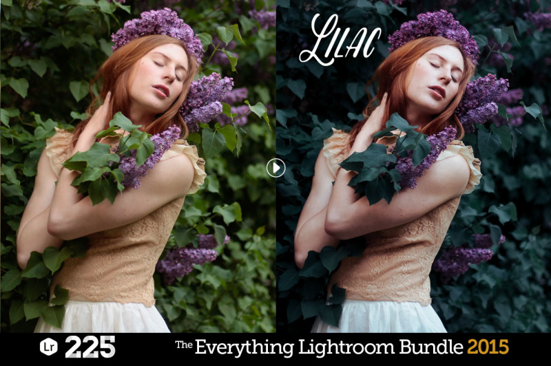 everything-lightroom-bundle-by-presetrain-10-collections-with-225-presets