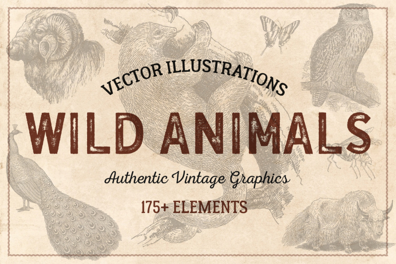 176-vintage-wild-animals-vector