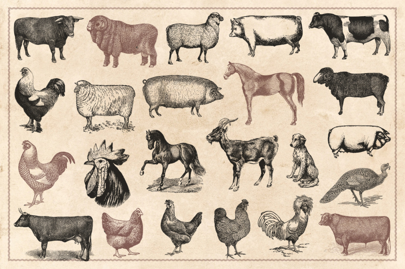 100-vintage-farm-animals-vector