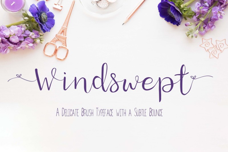 windswept-a-delicate-brush-script-font