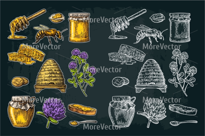 set-honey-pattern-poster-engraving-illustration