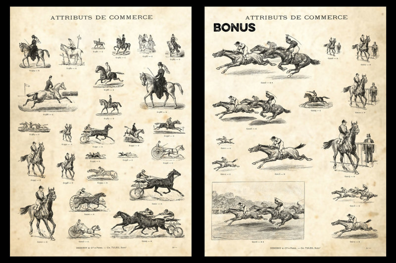 horses-bonus