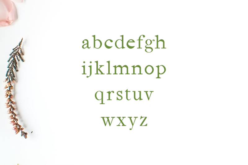 jerricca-serif-typeface