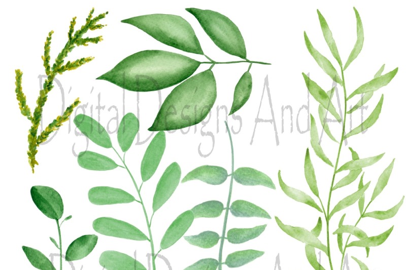 green-leaves-clipart