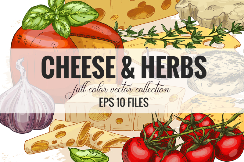cheese-and-herbs-vector-collection