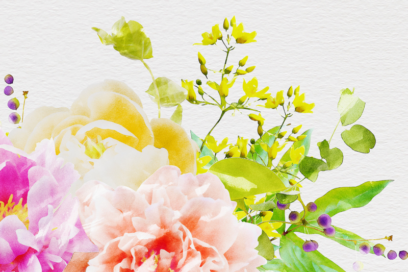watercolor-flowers-peonies