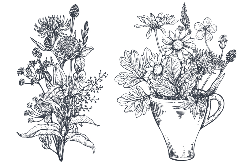 herbs-and-wildflowers