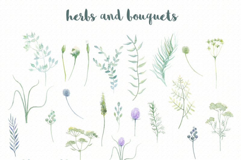watercolor-wild-herbs