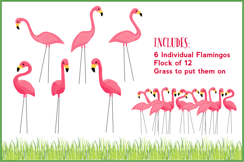 flamingo-lawn-flock