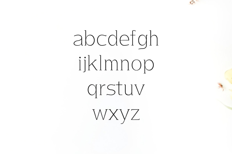 lisandro-slab-serif-font