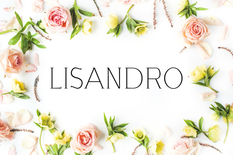 lisandro-slab-serif-font