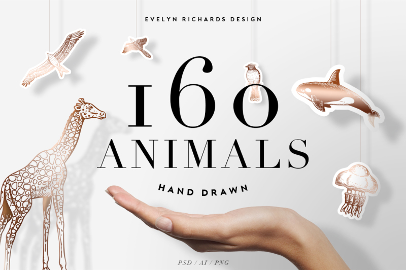 160-animals-hand-drawn