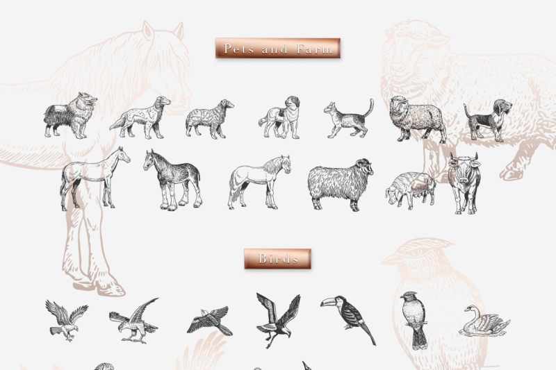 160-animals-hand-drawn