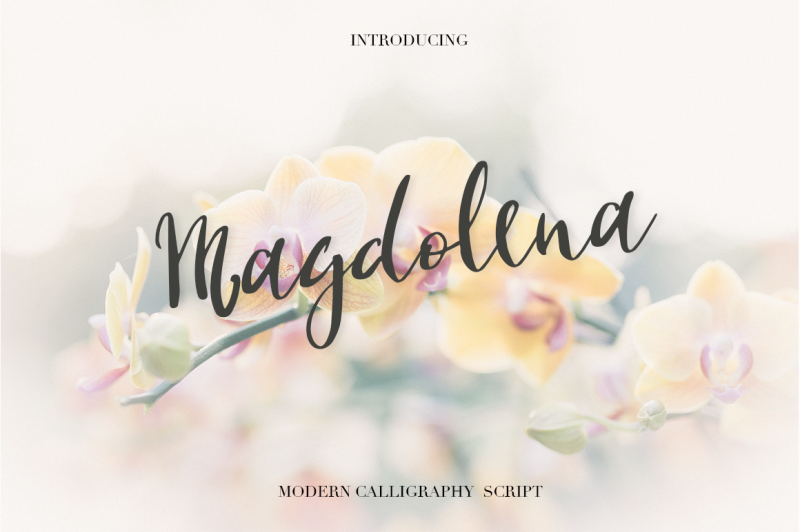 magdolena-script